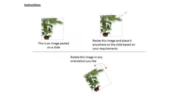 Stock Photo Illustration Of Vase With Green Plant PowerPoint Slide