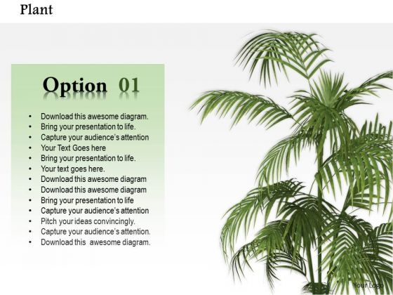 Stock Photo Image Of Green Plant For Enviorment PowerPoint Slide