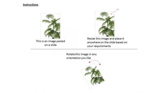 Stock Photo Image Of Green Plant For Enviorment PowerPoint Slide