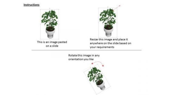 Stock Photo Image Of Indoor Plant PowerPoint Slide