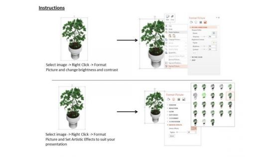 Stock Photo Image Of Indoor Plant PowerPoint Slide