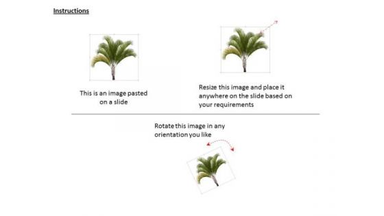 Stock Photo Image Of Palm Tree On Beach PowerPoint Slide