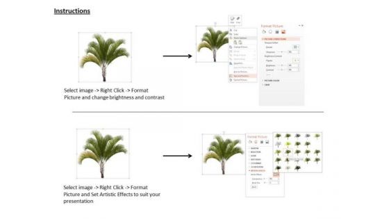 Stock Photo Image Of Palm Tree On Beach PowerPoint Slide