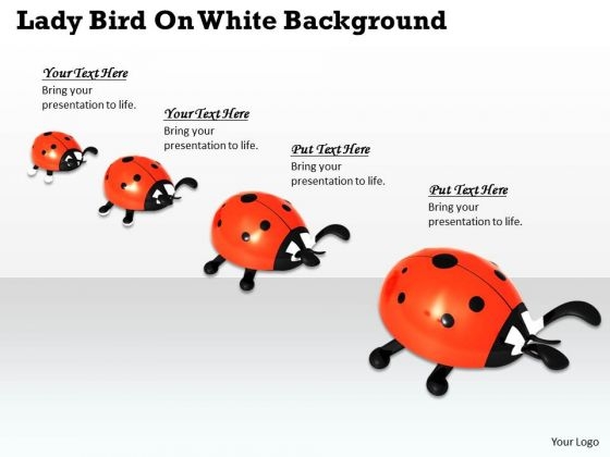 Stock Photo Lady Birds On White Background PowerPoint Slide