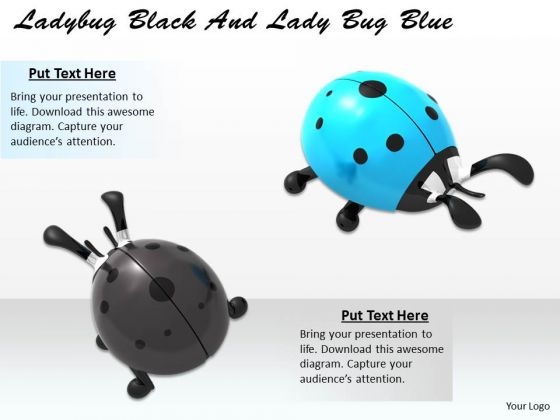 Stock Photo Lady Bug Black And Lady Bug Blue PowerPoint Slide