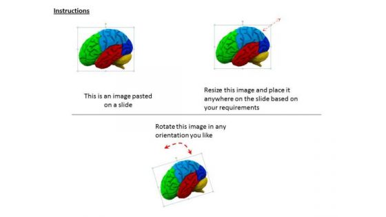 Stock Photo Multicolored Brain PowerPoint Slide