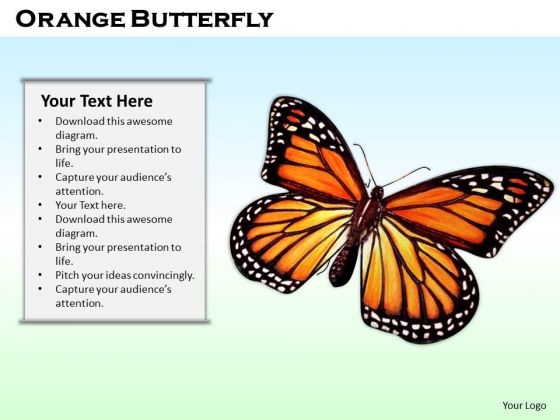Stock Photo Orange Butterfly On Blue Background PowerPoint Slide