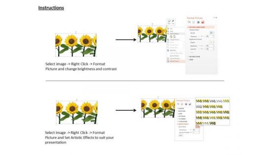 Stock Photo Three Sunflowers For Decoration And Nature PowerPoint Slide