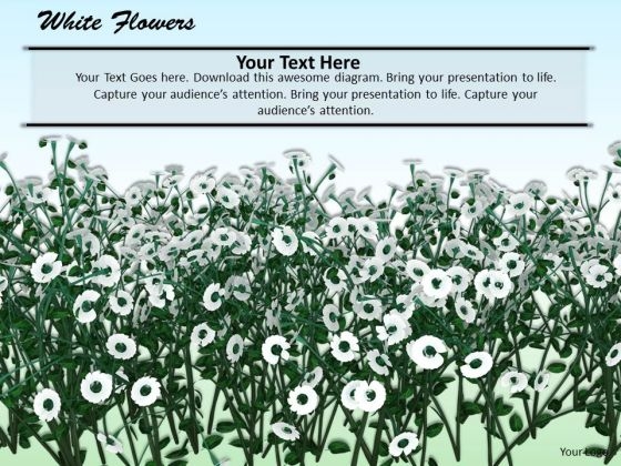 Stock Photo White Flowers Nature Background PowerPoint Slide