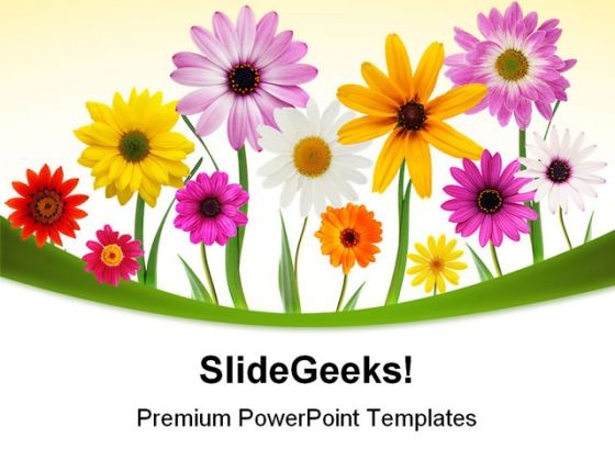 Summer Daisies Beauty PowerPoint Templates And PowerPoint Backgrounds 0311