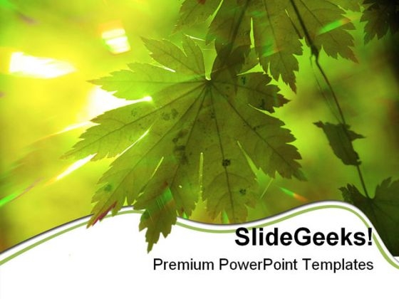 Summer Forest Rays Nature PowerPoint Templates And PowerPoint Backgrounds 0511