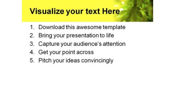 Summer Forest Rays Nature PowerPoint Themes And PowerPoint Slides 0511