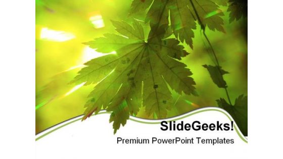 Summer Forest Rays Nature PowerPoint Themes And PowerPoint Slides 0511