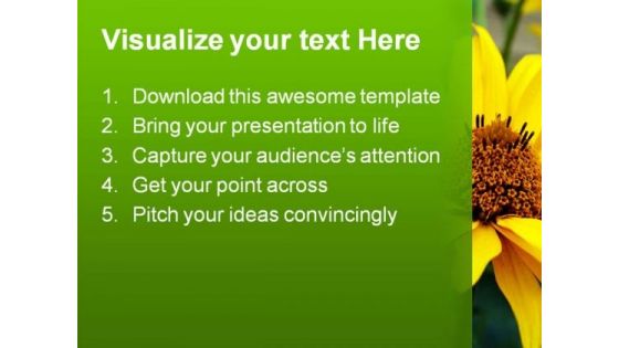 Sun Flower Beauty PowerPoint Templates And PowerPoint Backgrounds 0311
