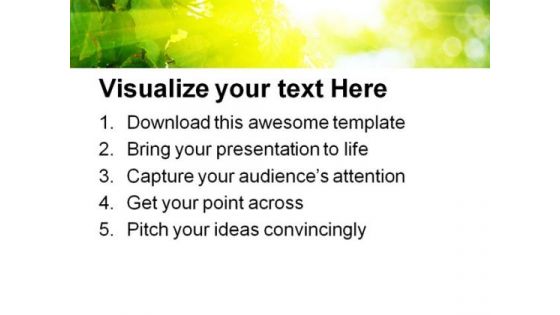 Sun Light Through Leaves Nature PowerPoint Background And Template 1210