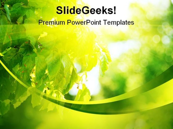 Sun Light Through Leaves Nature PowerPoint Background And Template 1210