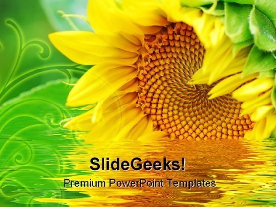Sunflower Beauty PowerPoint Template 1110