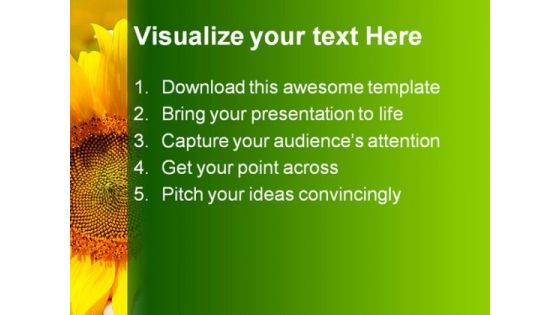 Sunflower In Female Hands Nature PowerPoint Templates And PowerPoint Backgrounds 0411