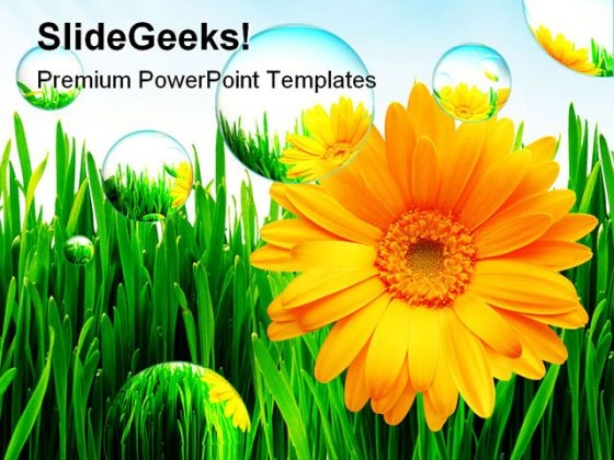 Sunflower Nature PowerPoint Template 1110