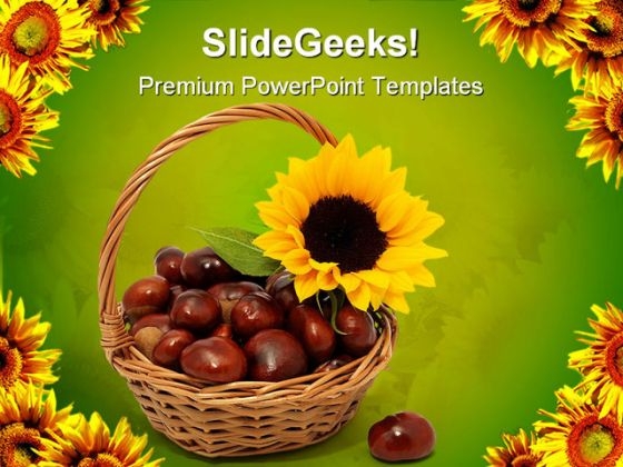 Sunflower With Chestnuts Nature PowerPoint Templates And PowerPoint Backgrounds 0311