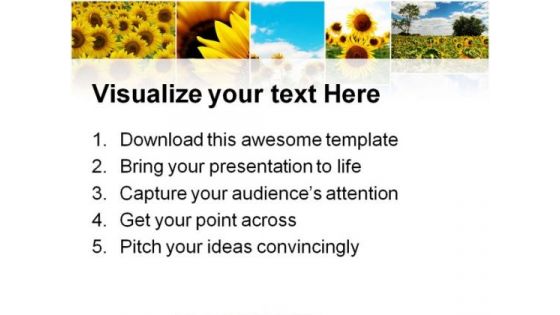 Sunflowers Collage Beauty Abstract PowerPoint Templates And PowerPoint Backgrounds 0211