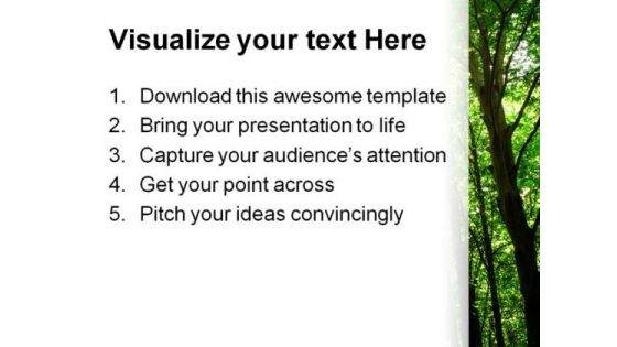Sunlight Nature PowerPoint Template 0810
