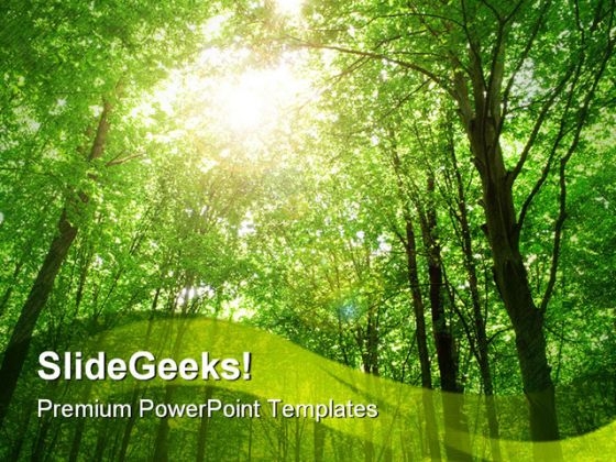 Sunlight Nature PowerPoint Template 0810