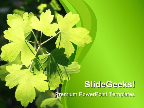 Sunlit Leaves Nature PowerPoint Templates And PowerPoint Backgrounds 0511