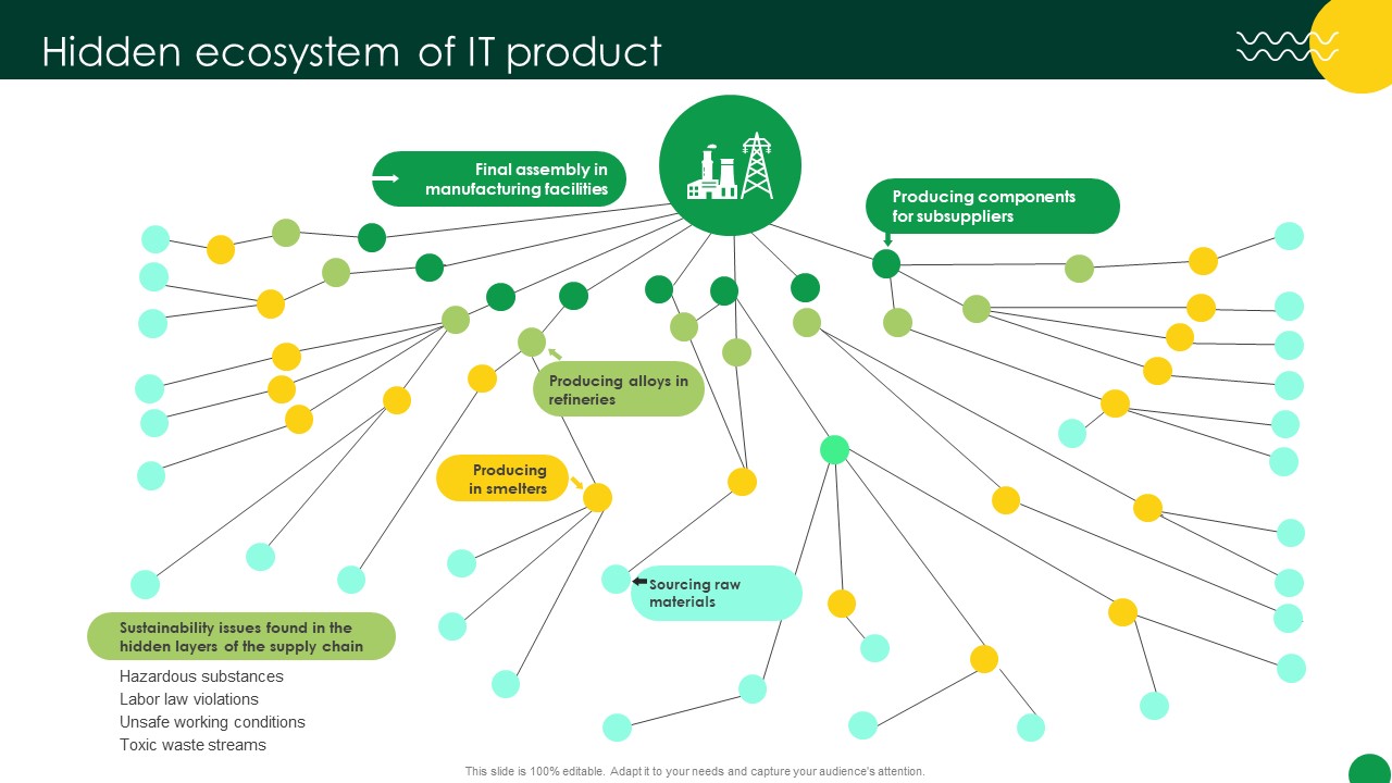 Sustainable Hidden Ecosystem Of IT Product Ppt Formates