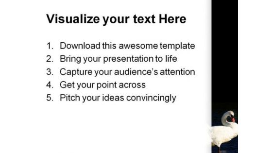 Swans Together Animals PowerPoint Themes And PowerPoint Slides 0511