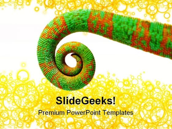 Tail Abstract PowerPoint Templates And PowerPoint Backgrounds 0511