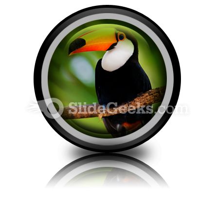 Toucan PowerPoint Icon Cc