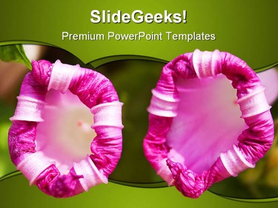 Tubular Pink Flowers Beauty PowerPoint Backgrounds And Templates 1210