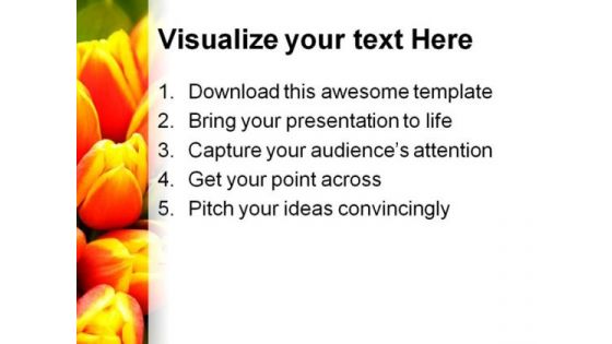Tulip Flower Beauty PowerPoint Backgrounds And Templates 1210