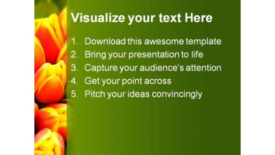 Tulip Flower Beauty PowerPoint Backgrounds And Templates 1210