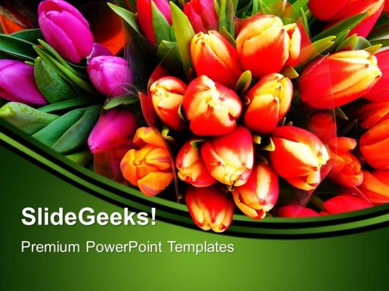 Tulip Flowers Nature PowerPoint Templates And PowerPoint Themes 0512