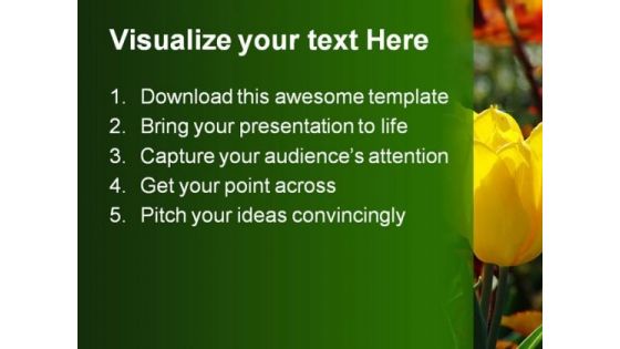 Tulips Beauty PowerPoint Template 0610