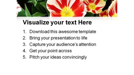 Tulips Flower Beauty PowerPoint Themes And PowerPoint Slides 0411