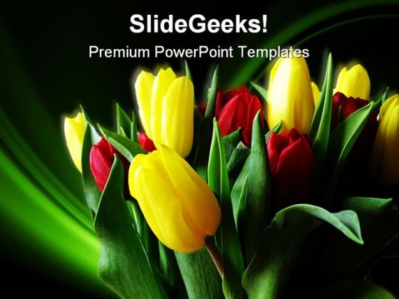 Tulips Nature PowerPoint Template 0610