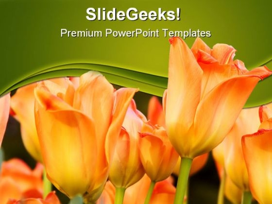 Tulips Nature PowerPoint Themes And PowerPoint Slides 0211