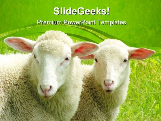 Two Sheep Nature PowerPoint Themes And PowerPoint Slides 0411