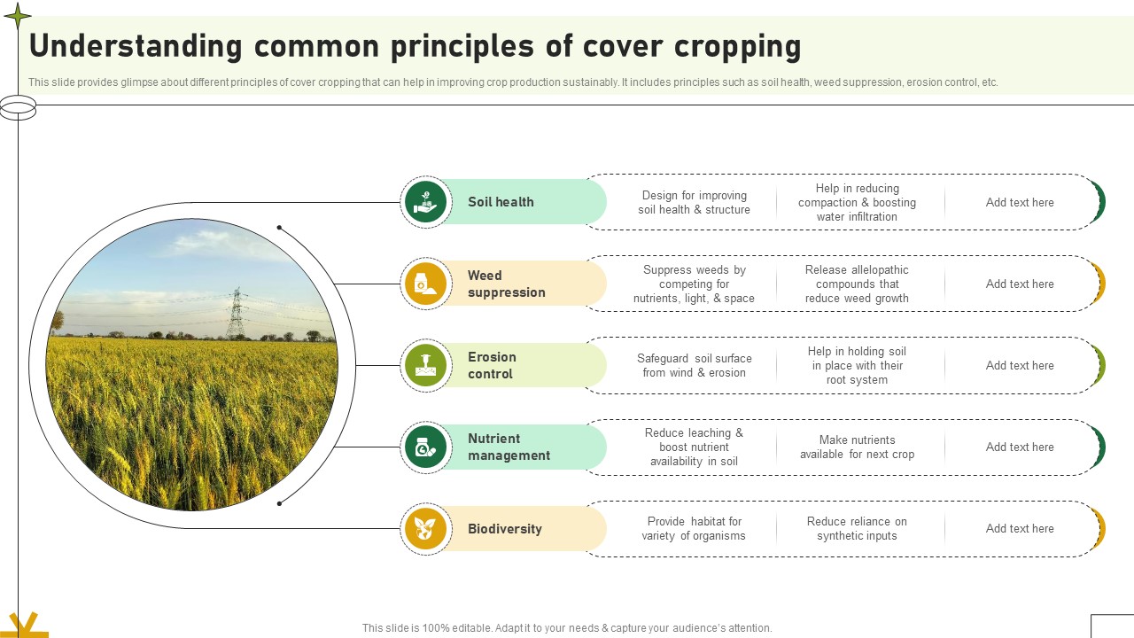 Understanding Common Principles Of Cover Cropping Adopting Sustainable Farming Techniques