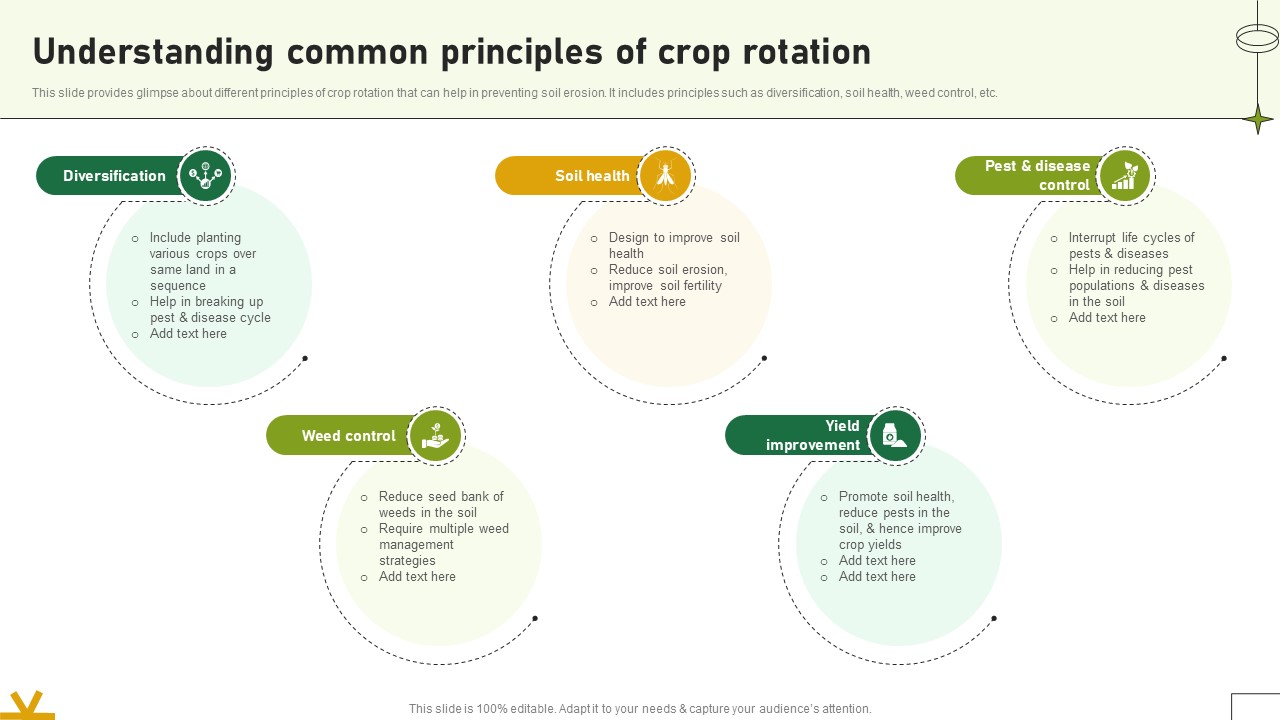 Understanding Common Principles Of Crop Rotation Adopting Sustainable Farming Techniques