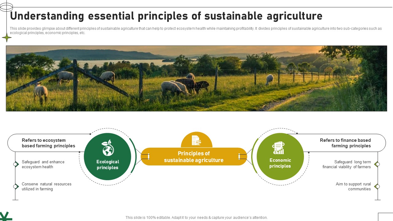 Understanding Essential Principles Of Sustainable Agriculture Adopting Sustainable Farming Techniques
