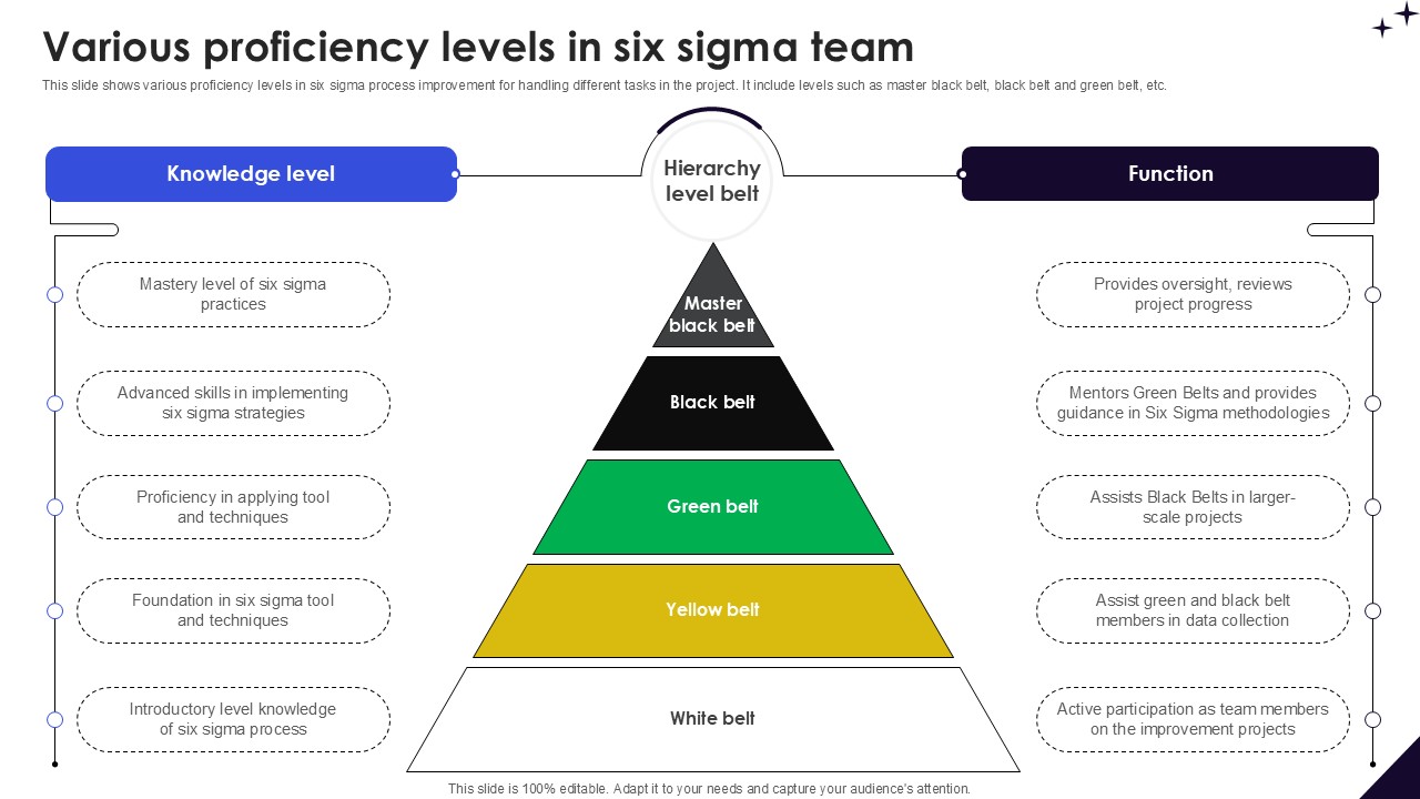 Various Proficiency Levels In DMAIC Methodology To Maintain PPT Presentation