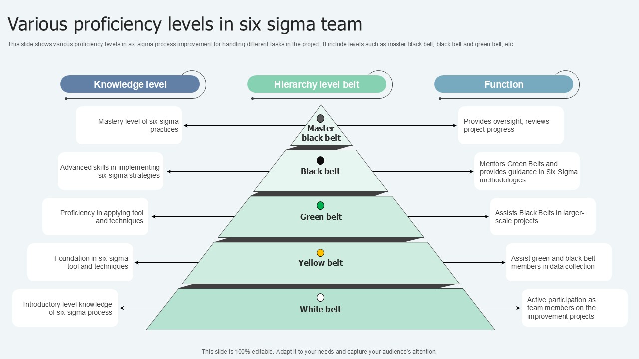 Various Proficiency Levels In Lean Six Sigma In Manufacturing Ppt Slide