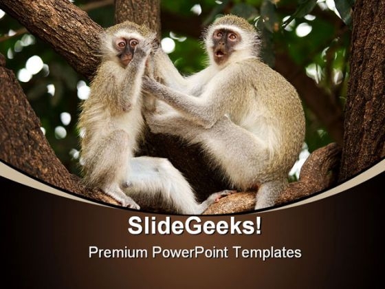 Vervet Monkeys Animals PowerPoint Themes And PowerPoint Slides 0211