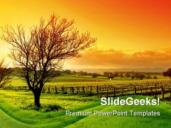 Vineyard Nature PowerPoint Background And Template 1210