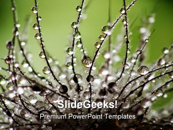Water Drops Nature PowerPoint Backgrounds And Templates 1210