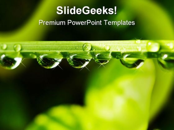 Water Drops On Leaf Nature PowerPoint Backgrounds And Templates 1210